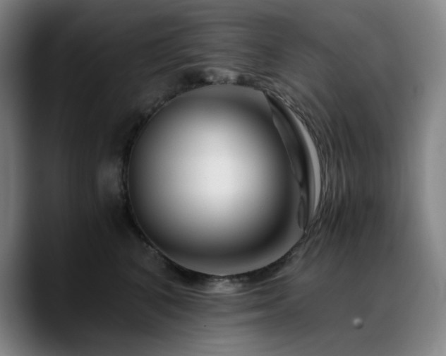 X0000090720616200707201350