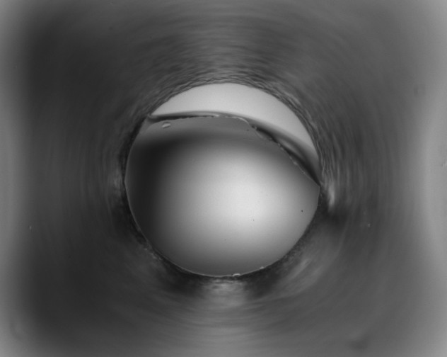 X0000090720617200707201349