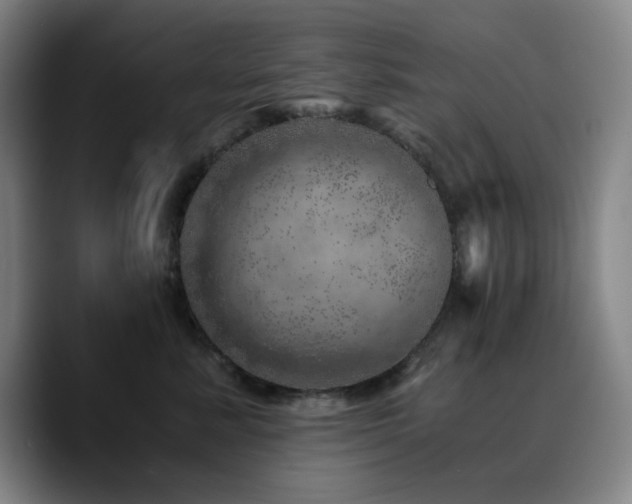 X0000090720619200707201349