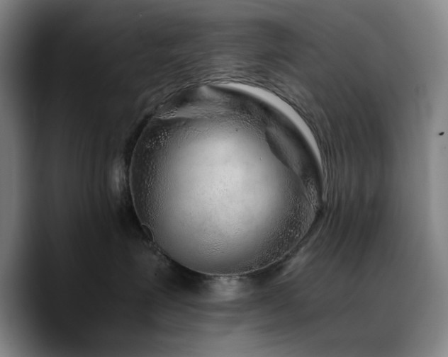 X0000090720623200707201349