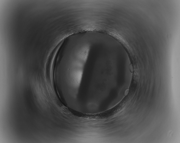 X0000090720626200707201349