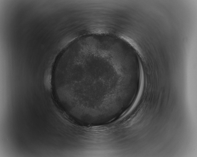 X0000090720627200707201349