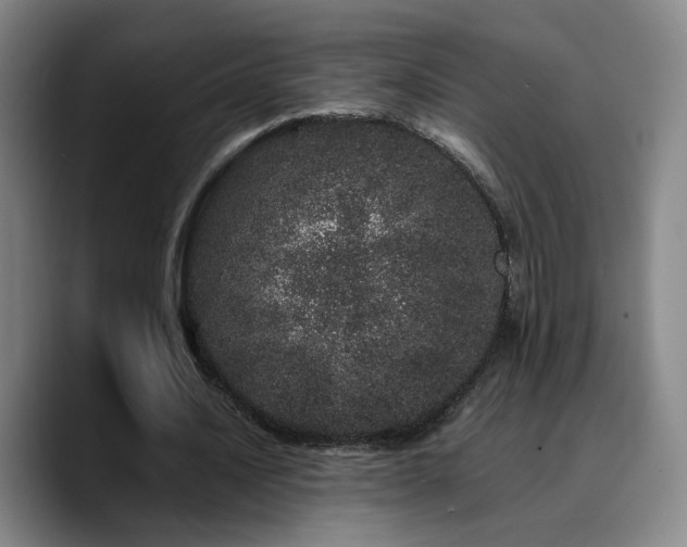 X0000090720628200707201349