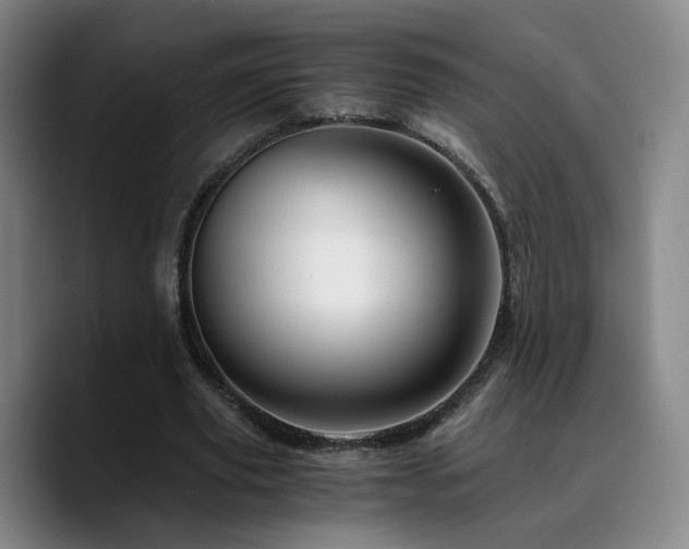X0000090720629200707201349