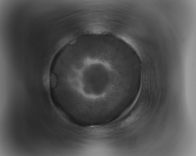 X0000090720630200707201349