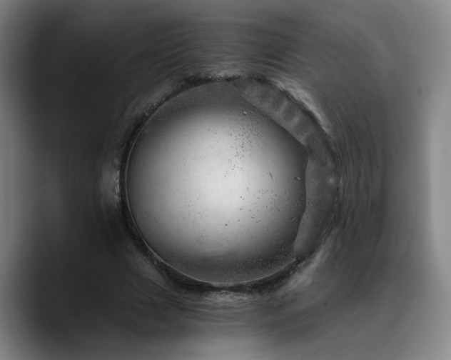 X0000090720633200707201349