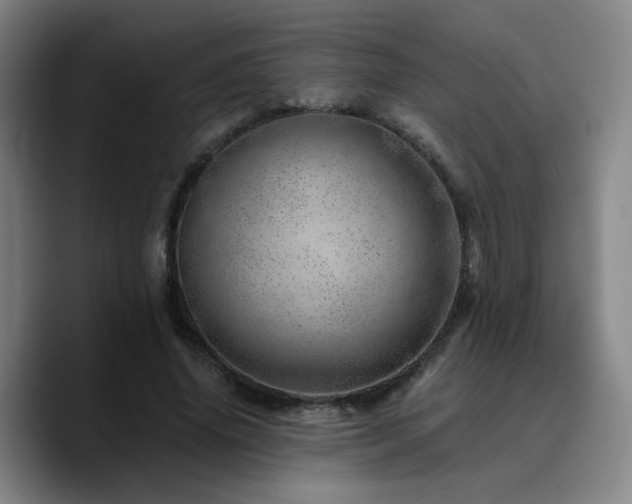 X0000090720636200707201349