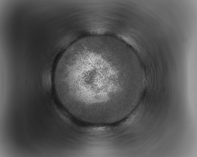 X0000090720638200707201349