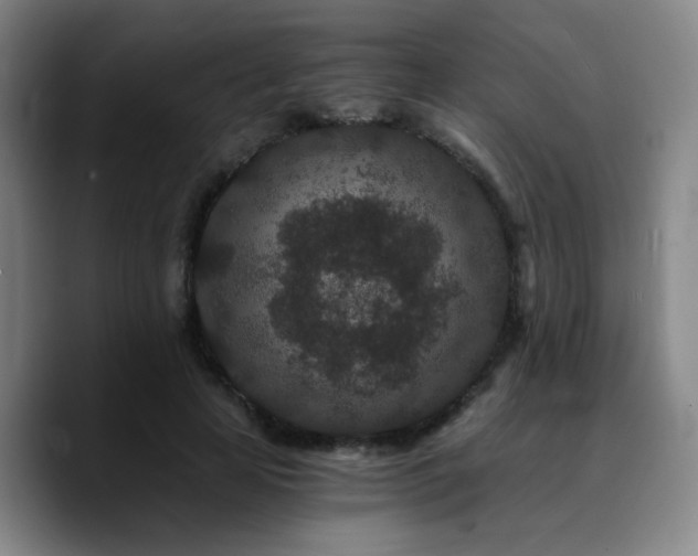 X0000090720641200707201349