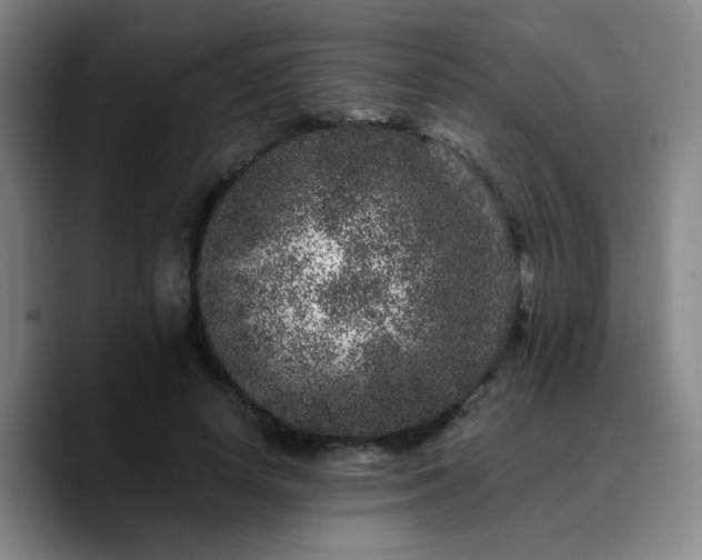 X0000090720642200707201349