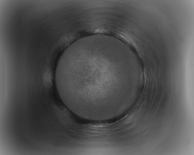 X0000090720643200707201349