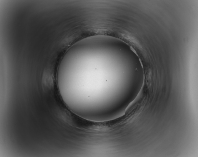 X0000090720644200707201349