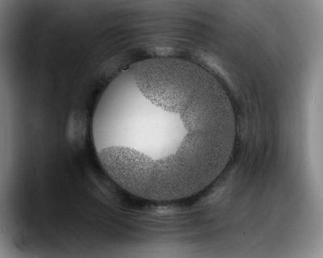 X0000090720645200707201349