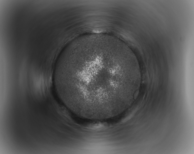 X0000090720646200707201349