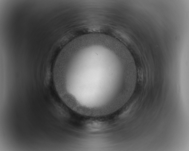 X0000090720648200707201349