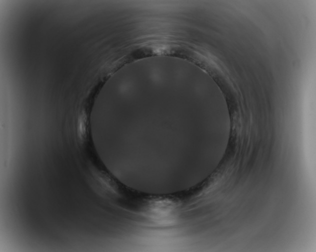 X0000090720650200707201349