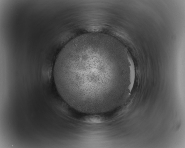 X0000090720652200707201349