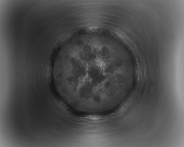 X0000090720654200707201349