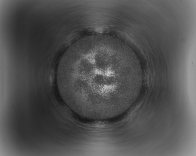 X0000090720656200707201349