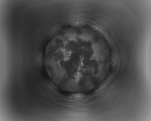 X0000090720659200707201349