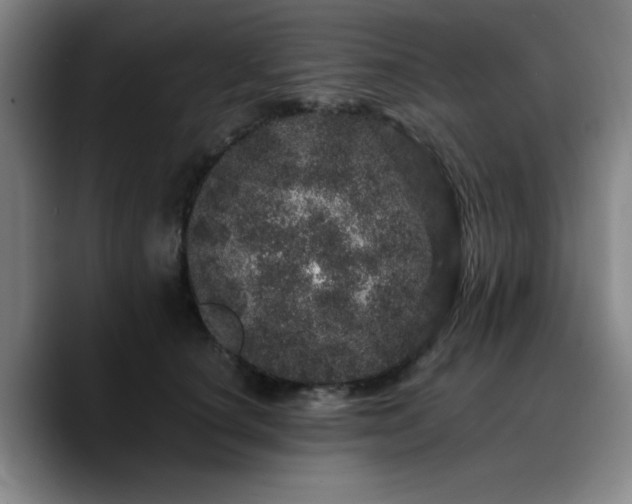 X0000090720660200707201349