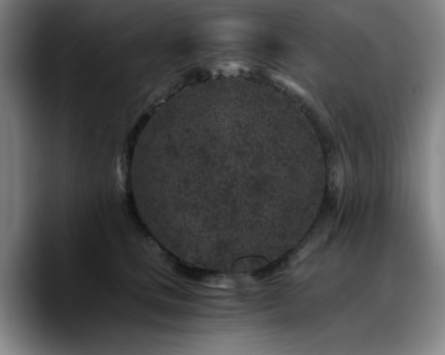 X0000090720661200707201349