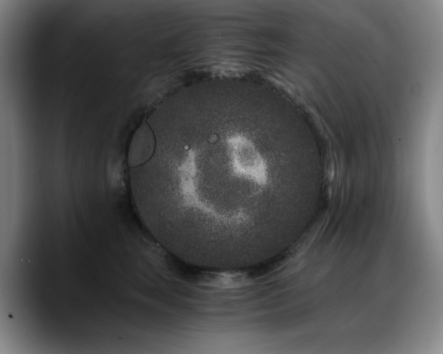 X0000090720663200707201349