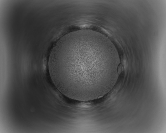 X0000090720664200707201349