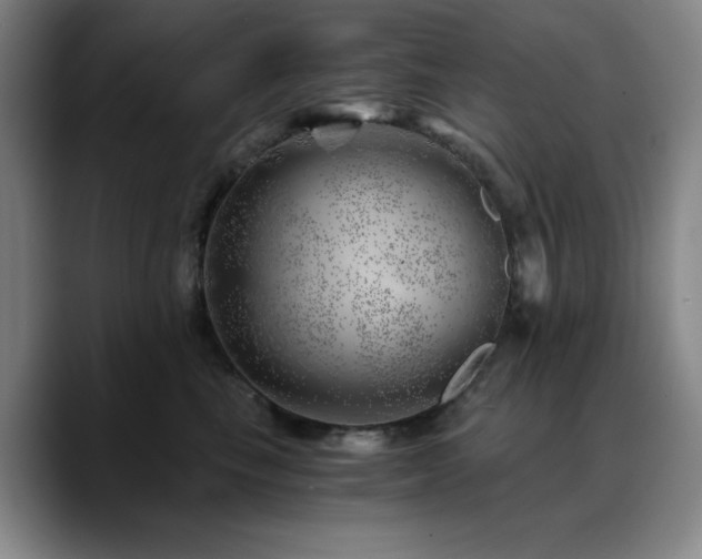 X0000090720665200707201349