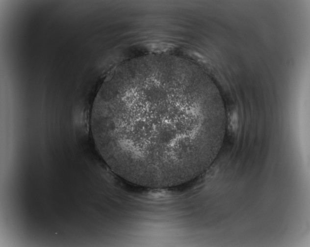 X0000090720666200707201349