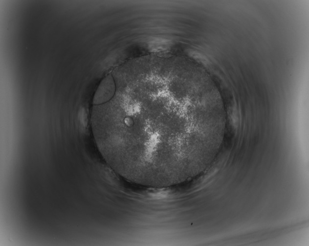X0000090720667200707201349