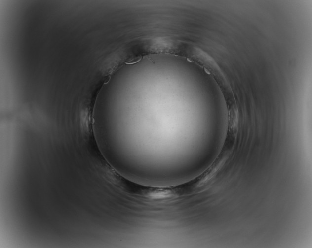 X0000090720669200707201349