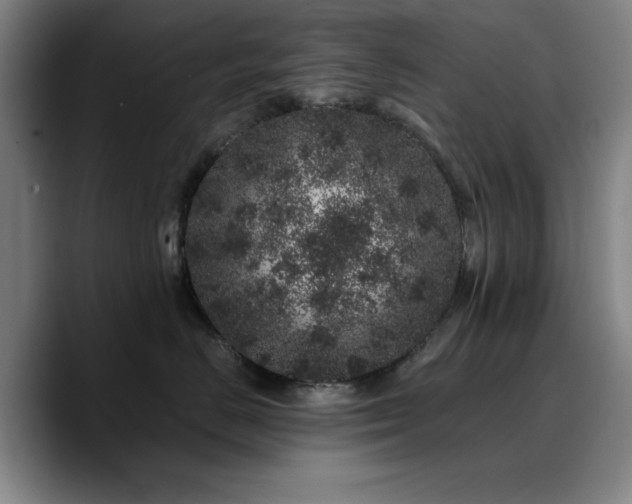 X0000090720670200707201349