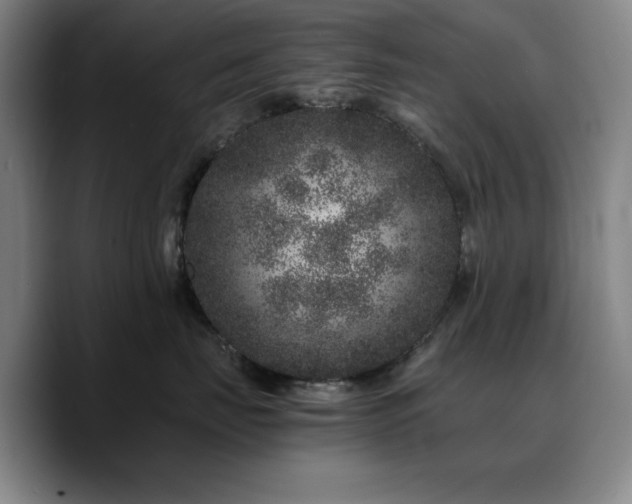 X0000090720671200707201349