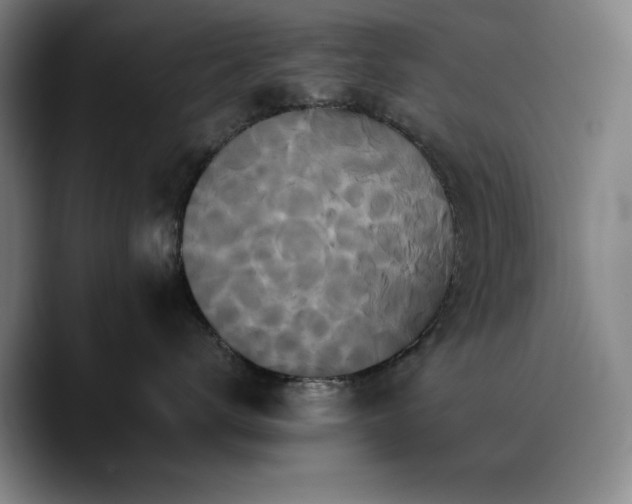 X0000090720672200707201349