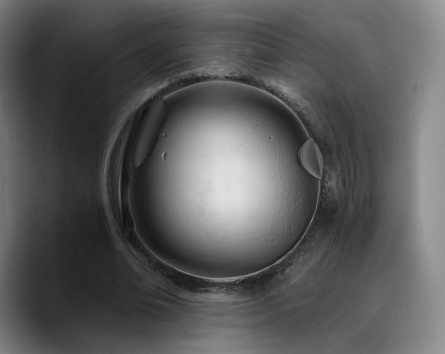 X0000090720678200707201349