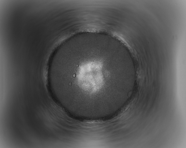 X0000090720679200707201349