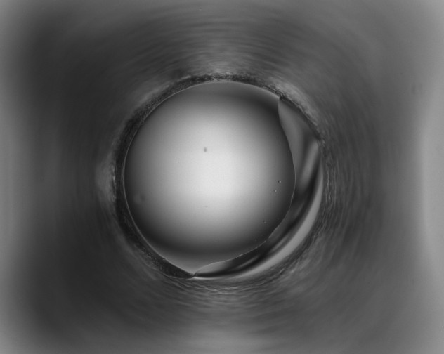 X0000090720680200707201349