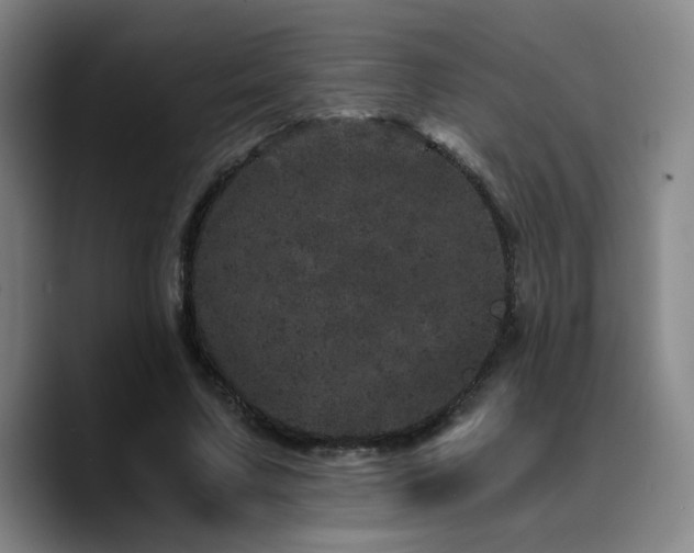 X0000090720683200707201349