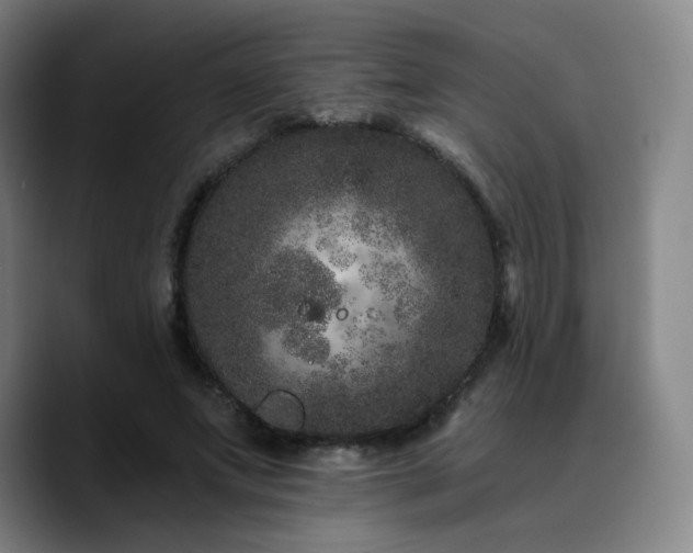 X0000090720687200707201349