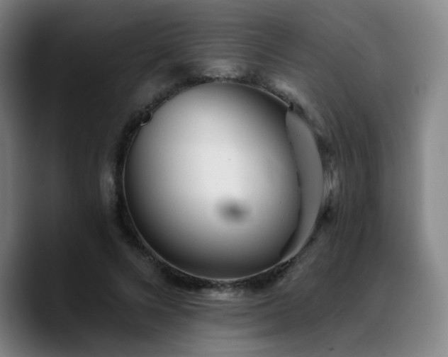 X0000090720688200707201349