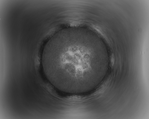 X0000090720691200707201349