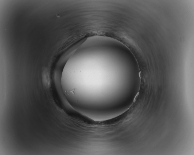 X0000090720693200707201349