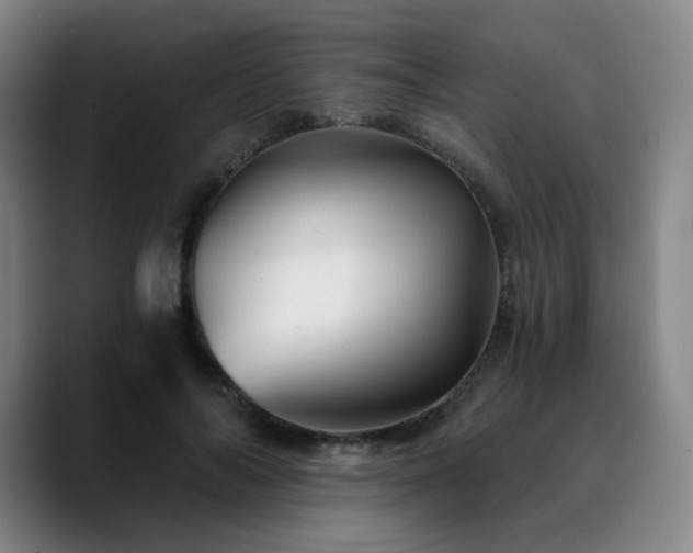 X0000090720694200707201348