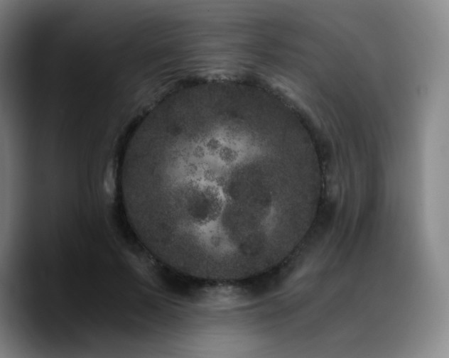 X0000090720695200707201348