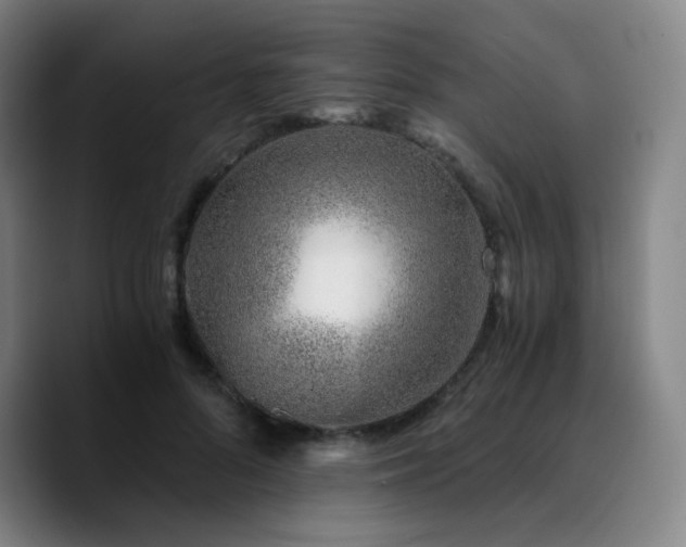 X0000090720696200707201348