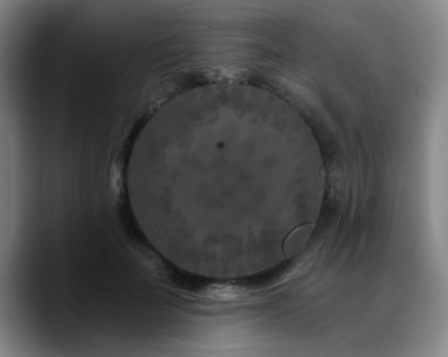 X0000090720699200707201348