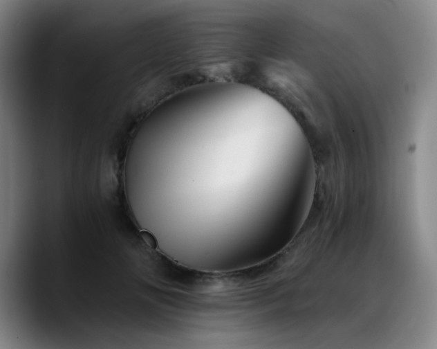 X0000090720702200707201348