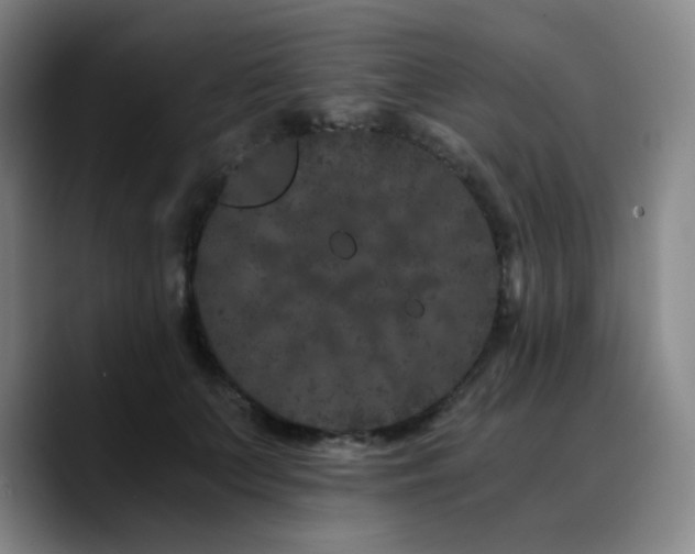 X0000090720703200707201348