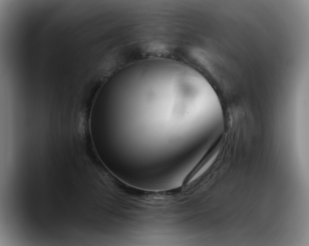 X0000090720708200707201348